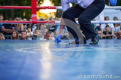 Referee lifts the mouthguard from the ring during Boxing match between national teamsÂ UKRAINE - ARMENIA Editorial Stock Photo